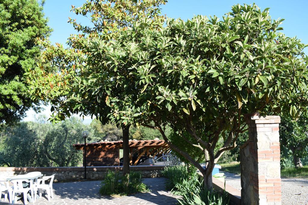 Agriturismo Amina, Winery & Hiking Vagliagli Exterior photo