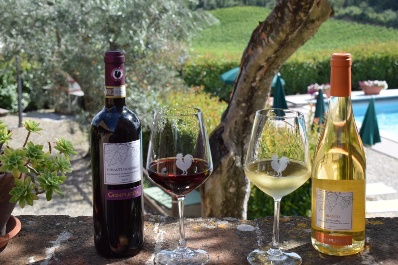 Agriturismo Amina, Winery & Hiking Vagliagli Exterior photo