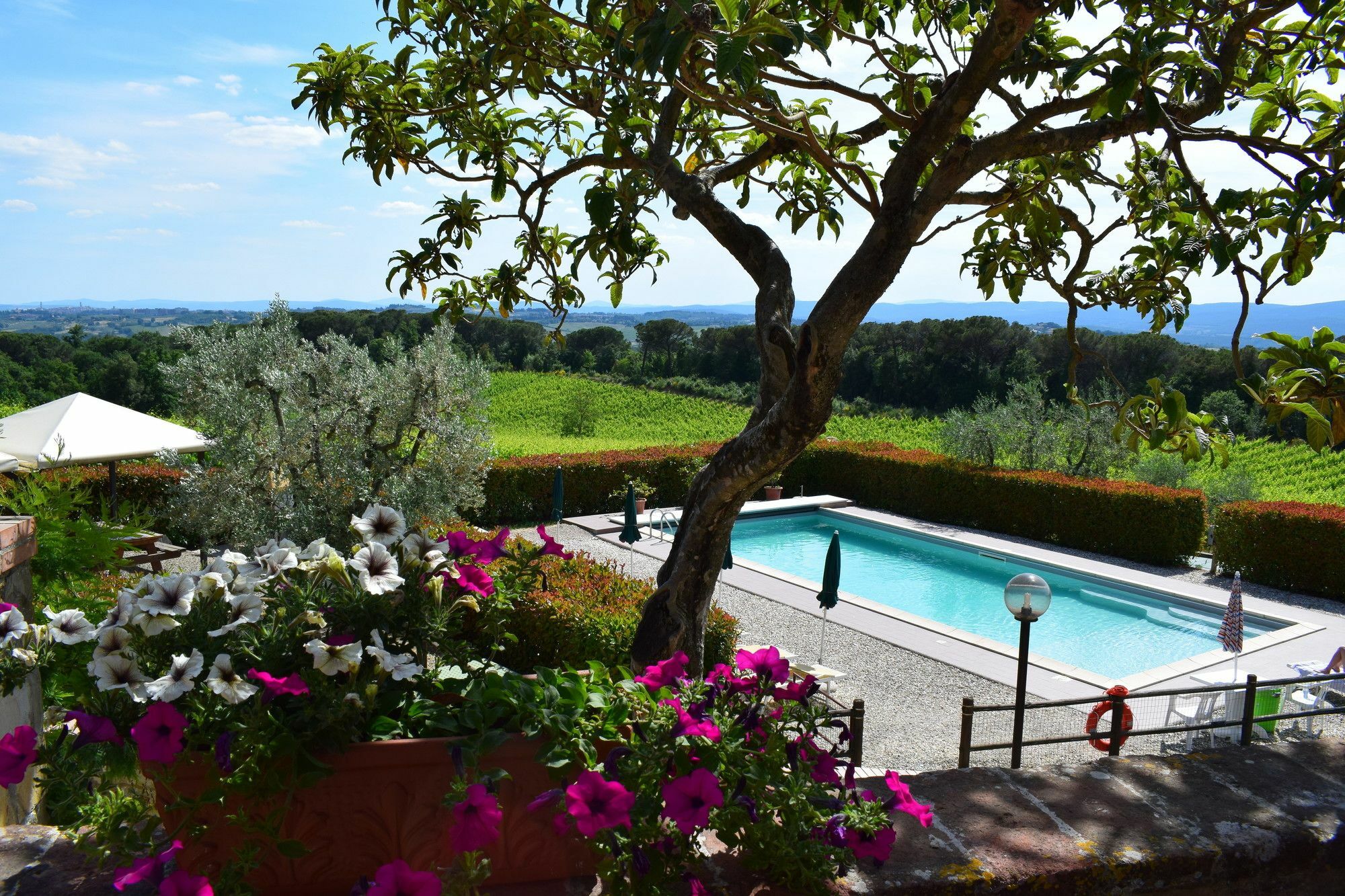 Agriturismo Amina, Winery & Hiking Vagliagli Exterior photo