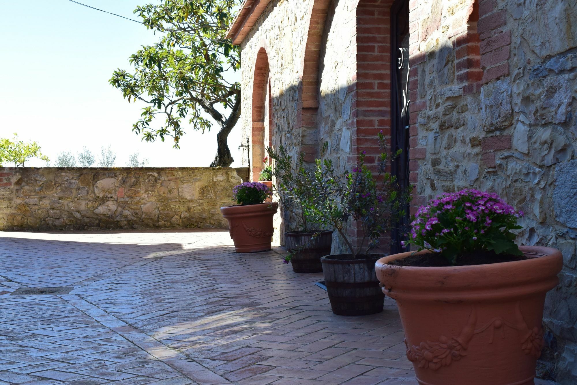 Agriturismo Amina, Winery & Hiking Vagliagli Exterior photo